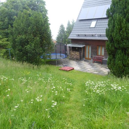 Haus Bergwiese - Fuer Naturfreunde, Familien, Wanderer Gehlberg Exterior foto